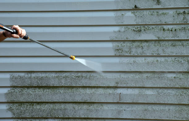 Local Pressure Washing Services in Minorca, LA